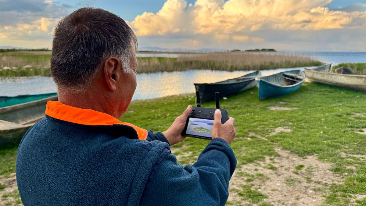 Konya’da bu sürü, adada tek başına yaşıyor 6